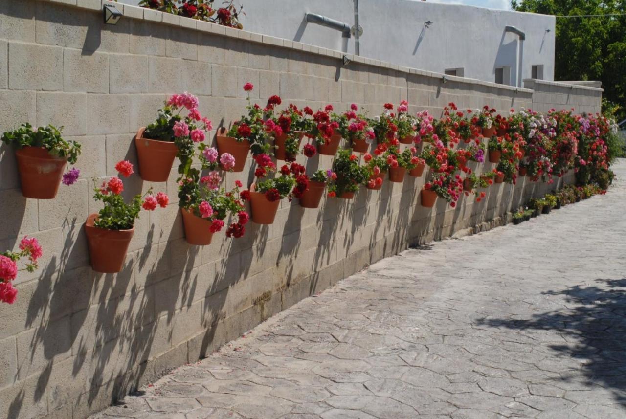 Pueblos Blancos Vejer de la Frontera Buitenkant foto