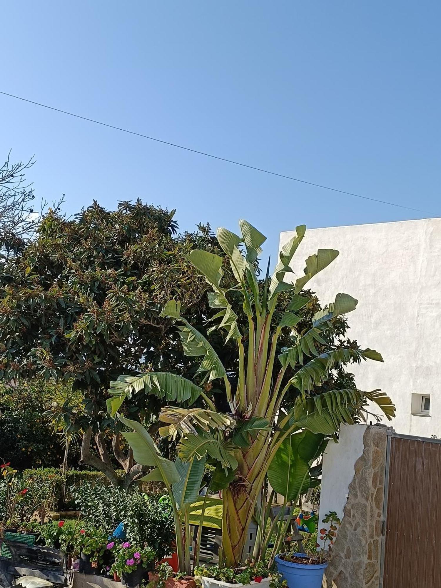 Pueblos Blancos Vejer de la Frontera Buitenkant foto